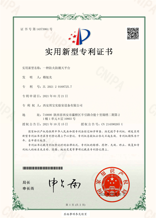 公司專利